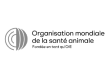 Slide 19